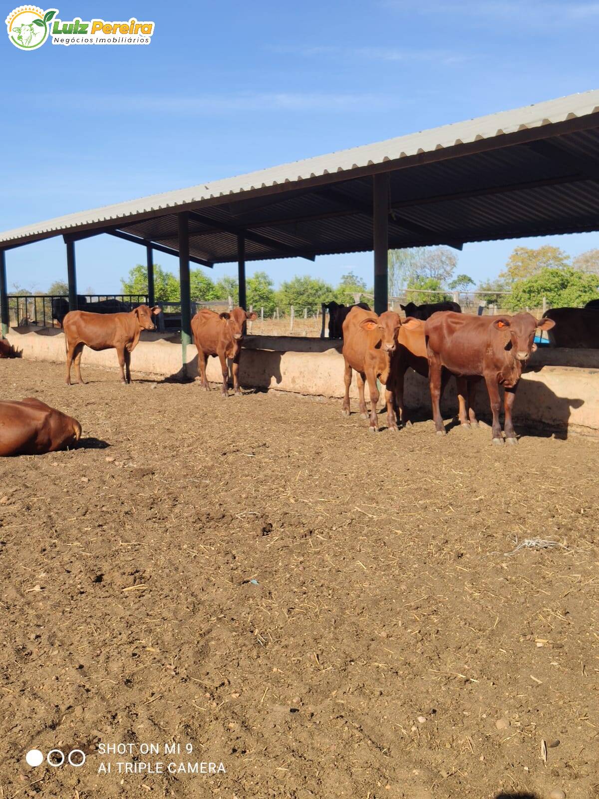 Fazenda à venda, 3915m² - Foto 18