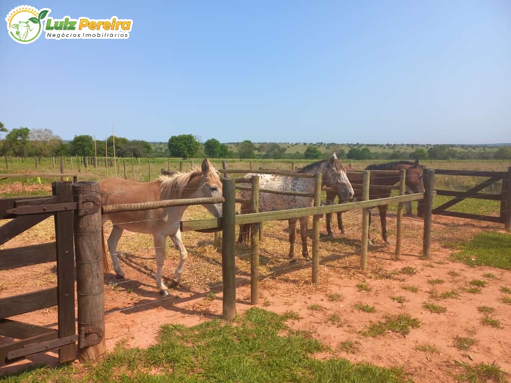 Fazenda à venda, 133m² - Foto 23