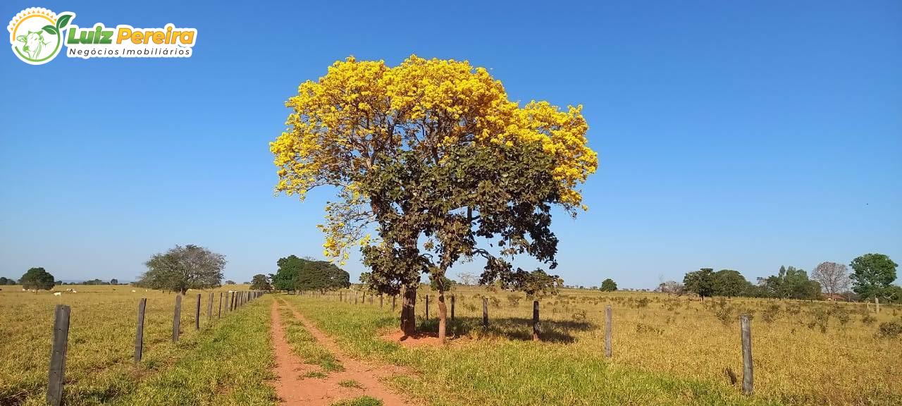 Fazenda à venda, 133m² - Foto 14