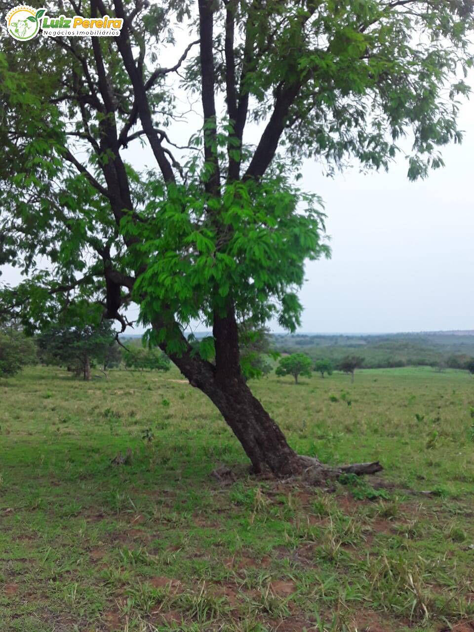 Fazenda à venda, 545m² - Foto 8