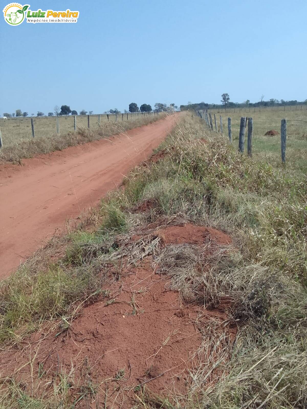 Fazenda à venda, 587m² - Foto 19