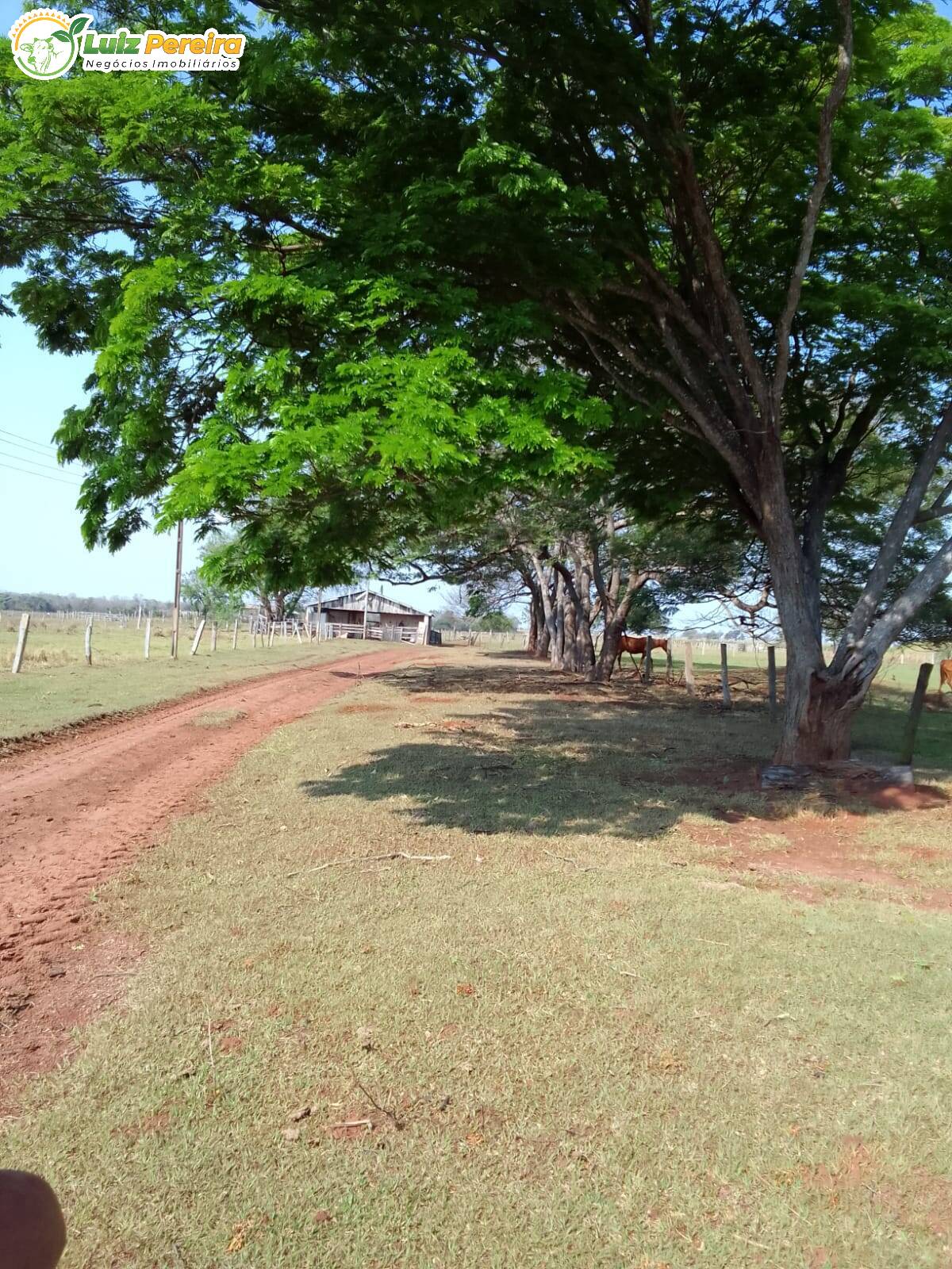 Fazenda à venda, 587m² - Foto 32