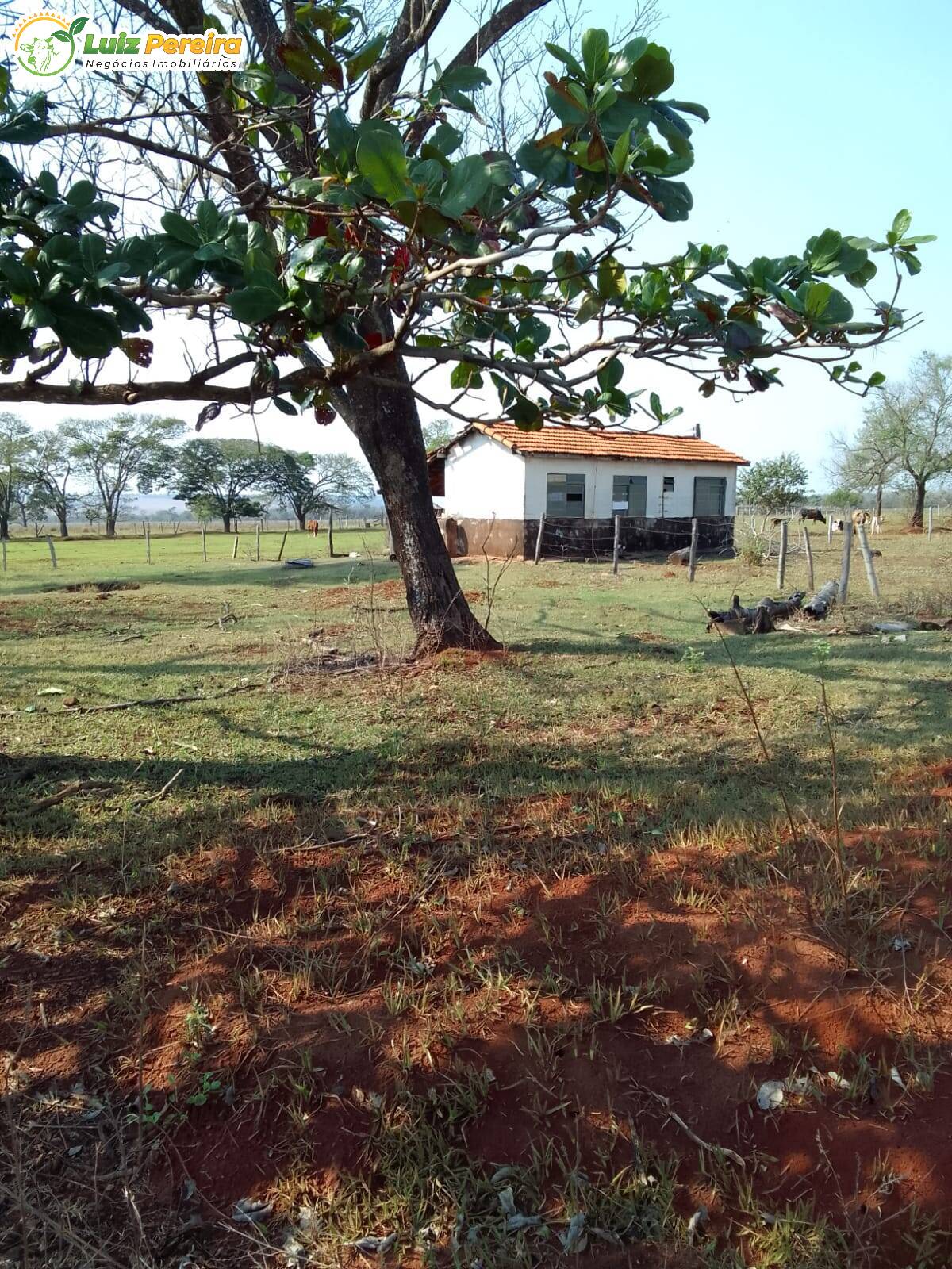 Fazenda à venda, 587m² - Foto 34