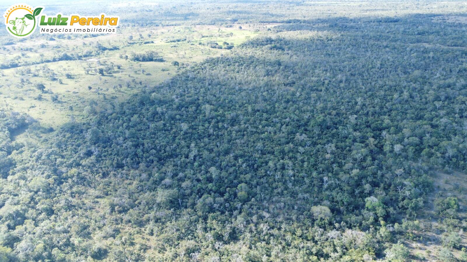 Fazenda à venda, 3500m² - Foto 7