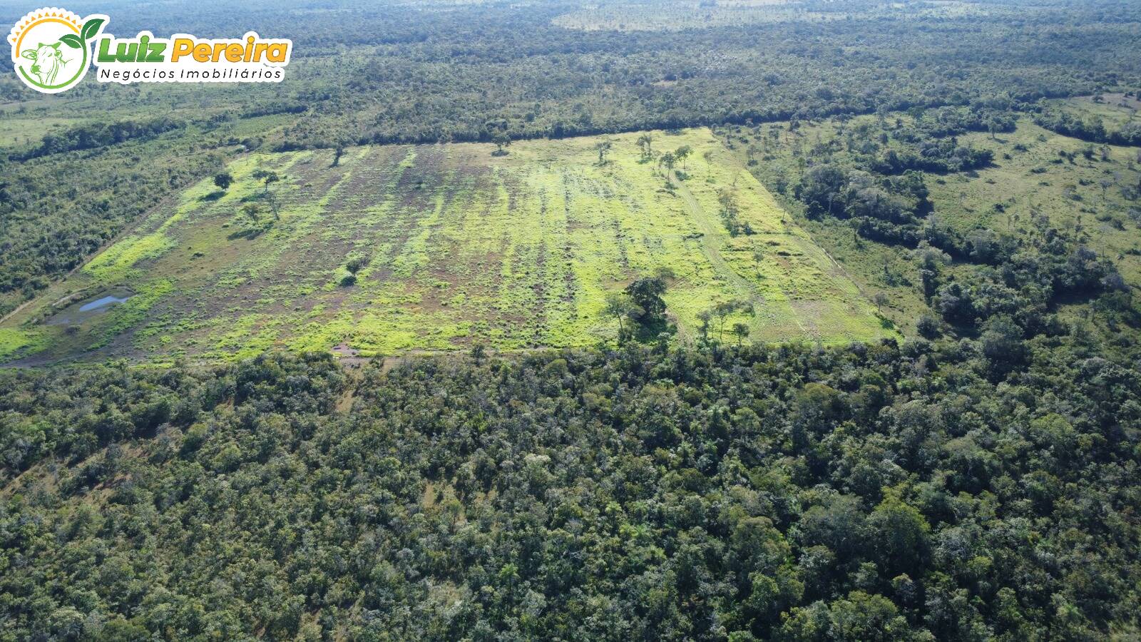 Fazenda à venda, 3500m² - Foto 2