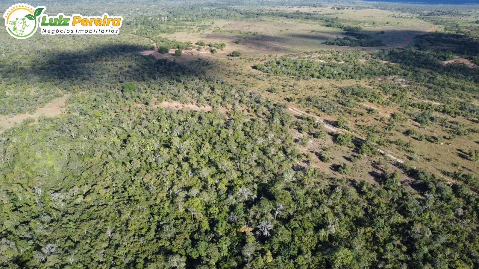 Fazenda à venda, 3500m² - Foto 3