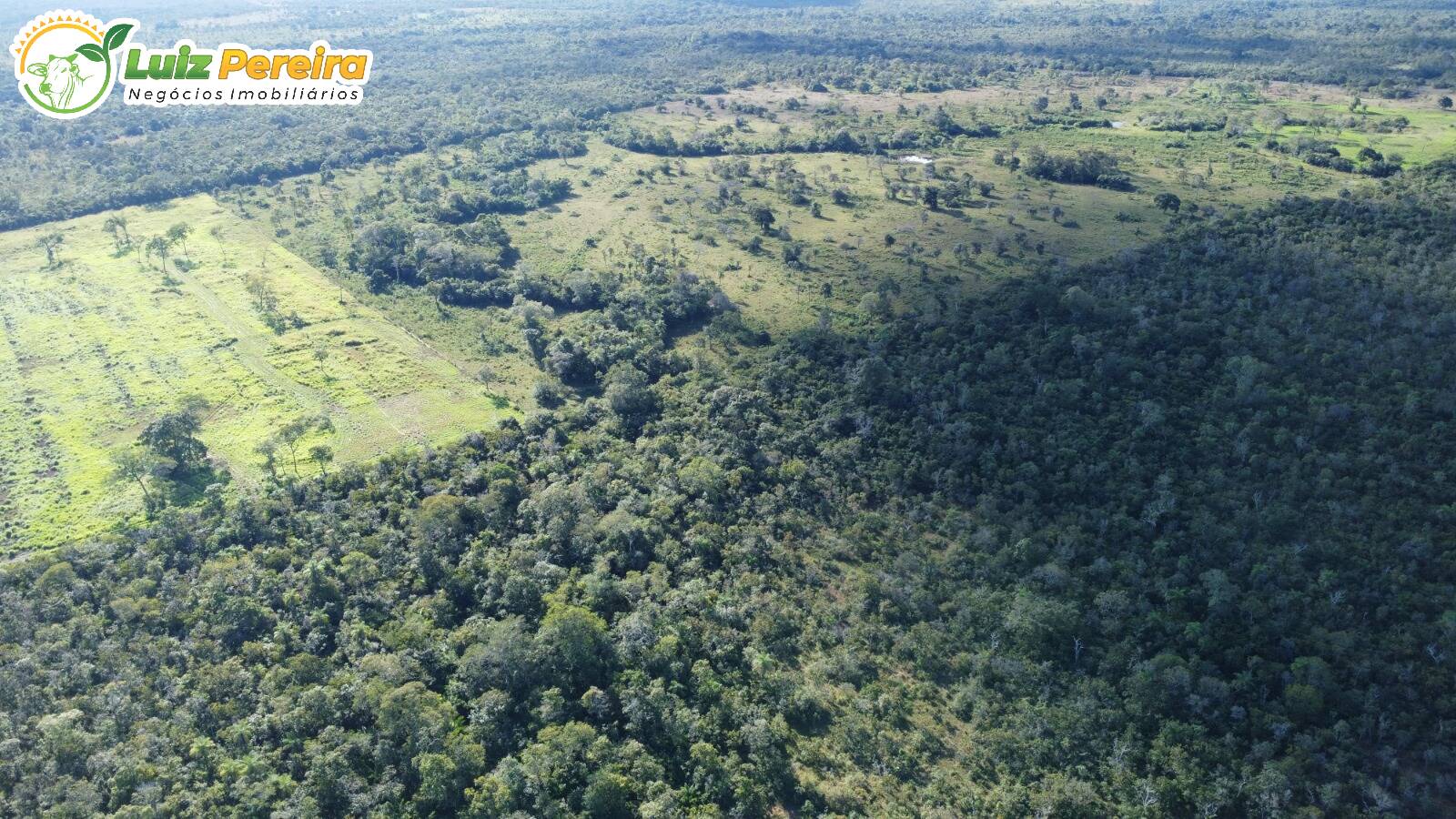 Fazenda à venda, 3500m² - Foto 4