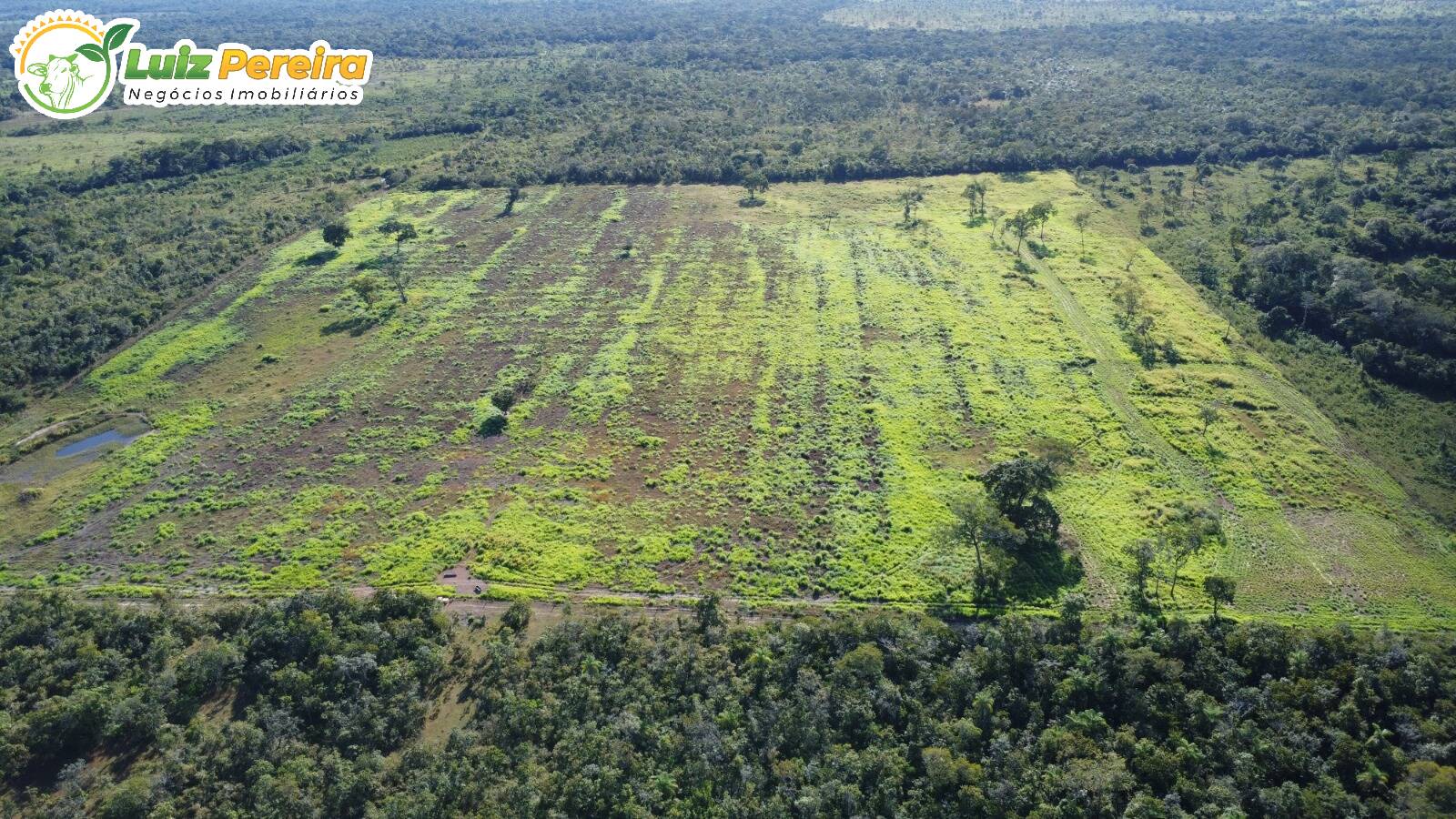 Fazenda à venda, 3500m² - Foto 1