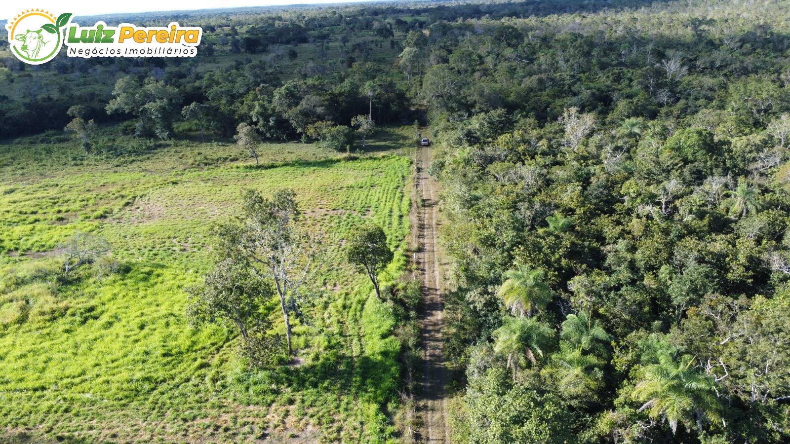 Fazenda à venda, 3500m² - Foto 5