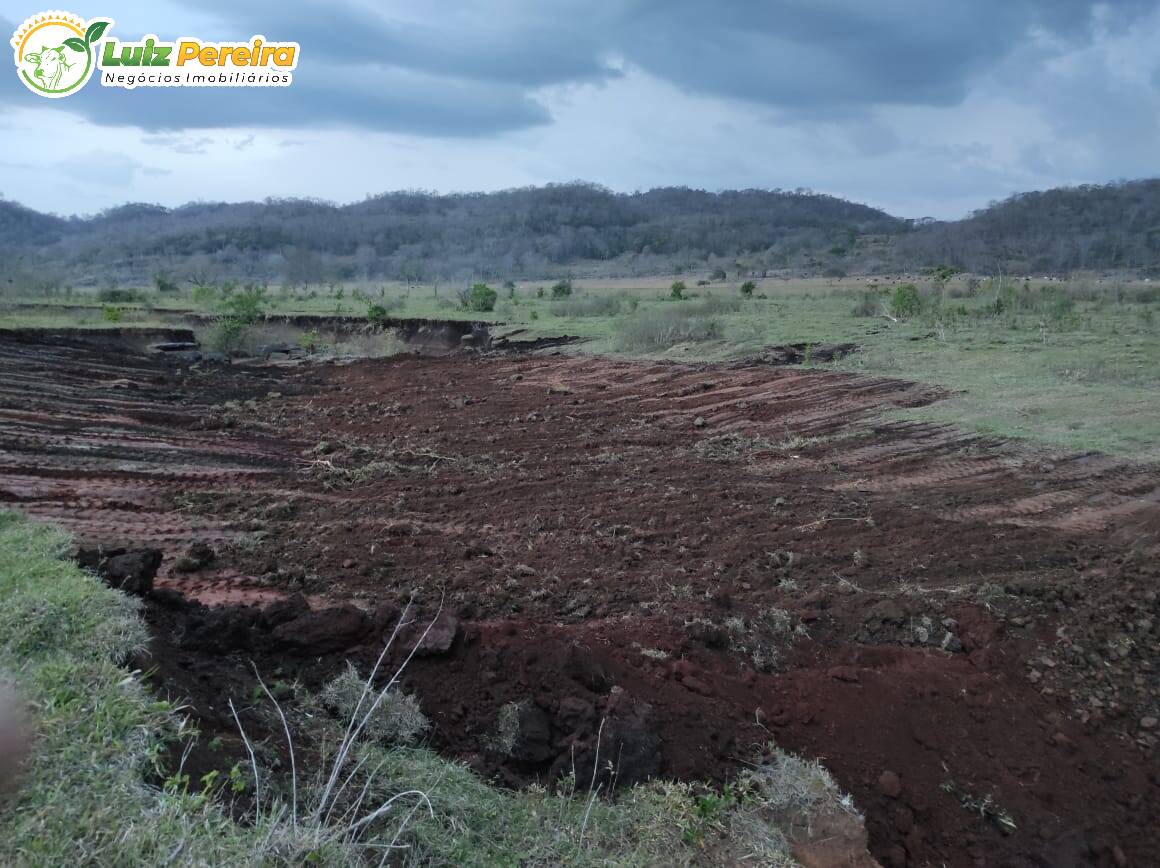 Fazenda à venda, 223m² - Foto 6