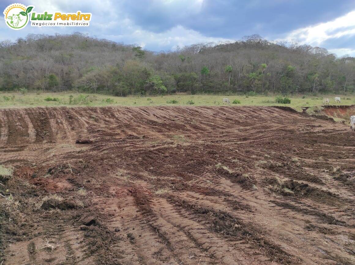 Fazenda à venda, 223m² - Foto 7