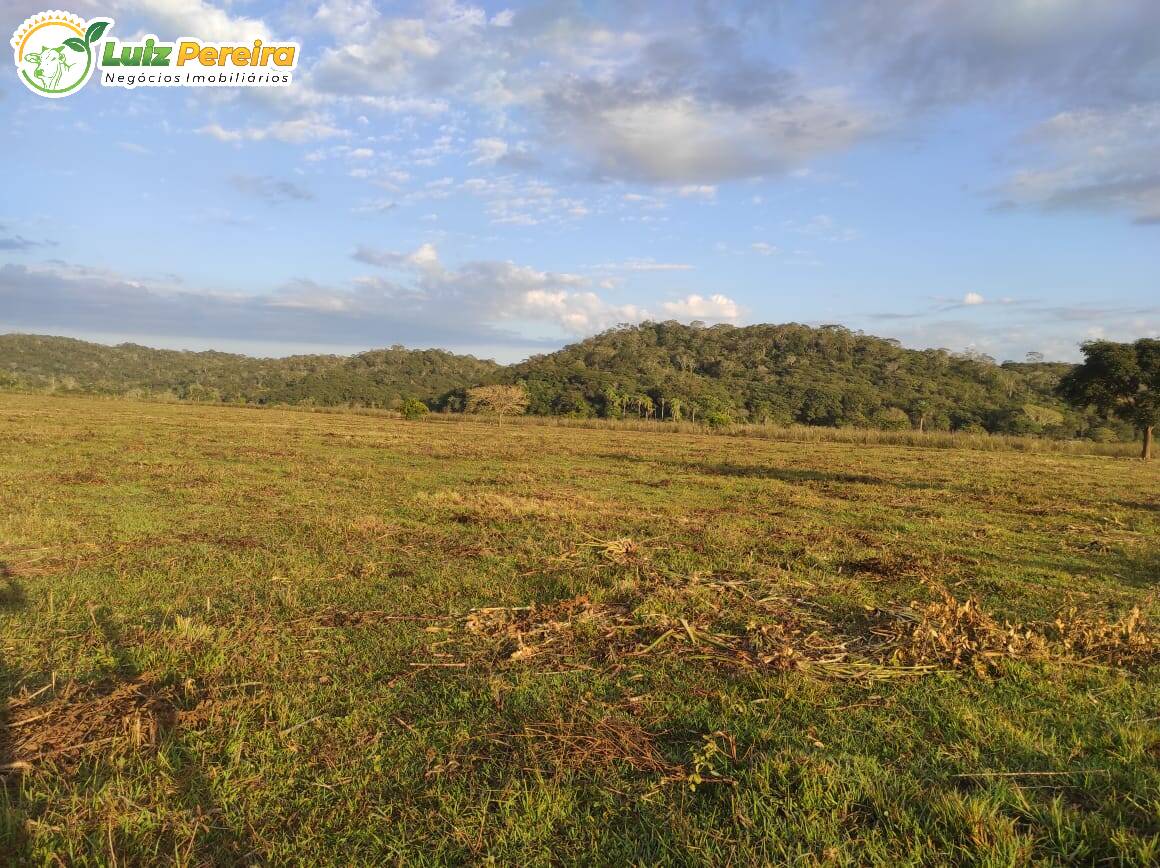 Fazenda à venda, 223m² - Foto 9