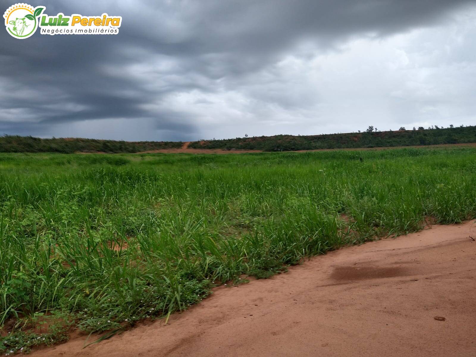 Fazenda à venda, 157000000m² - Foto 5