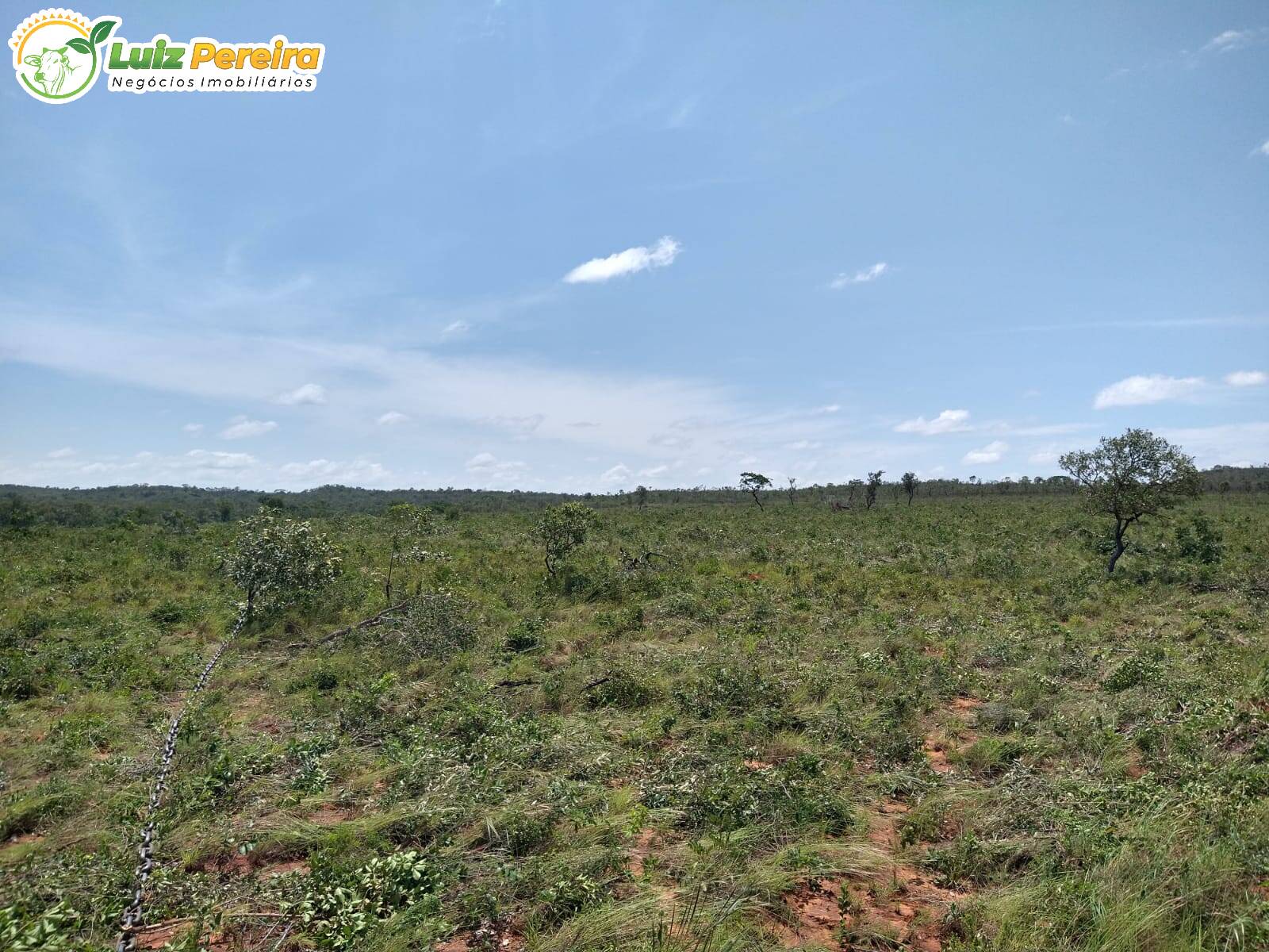 Fazenda à venda, 157000000m² - Foto 6