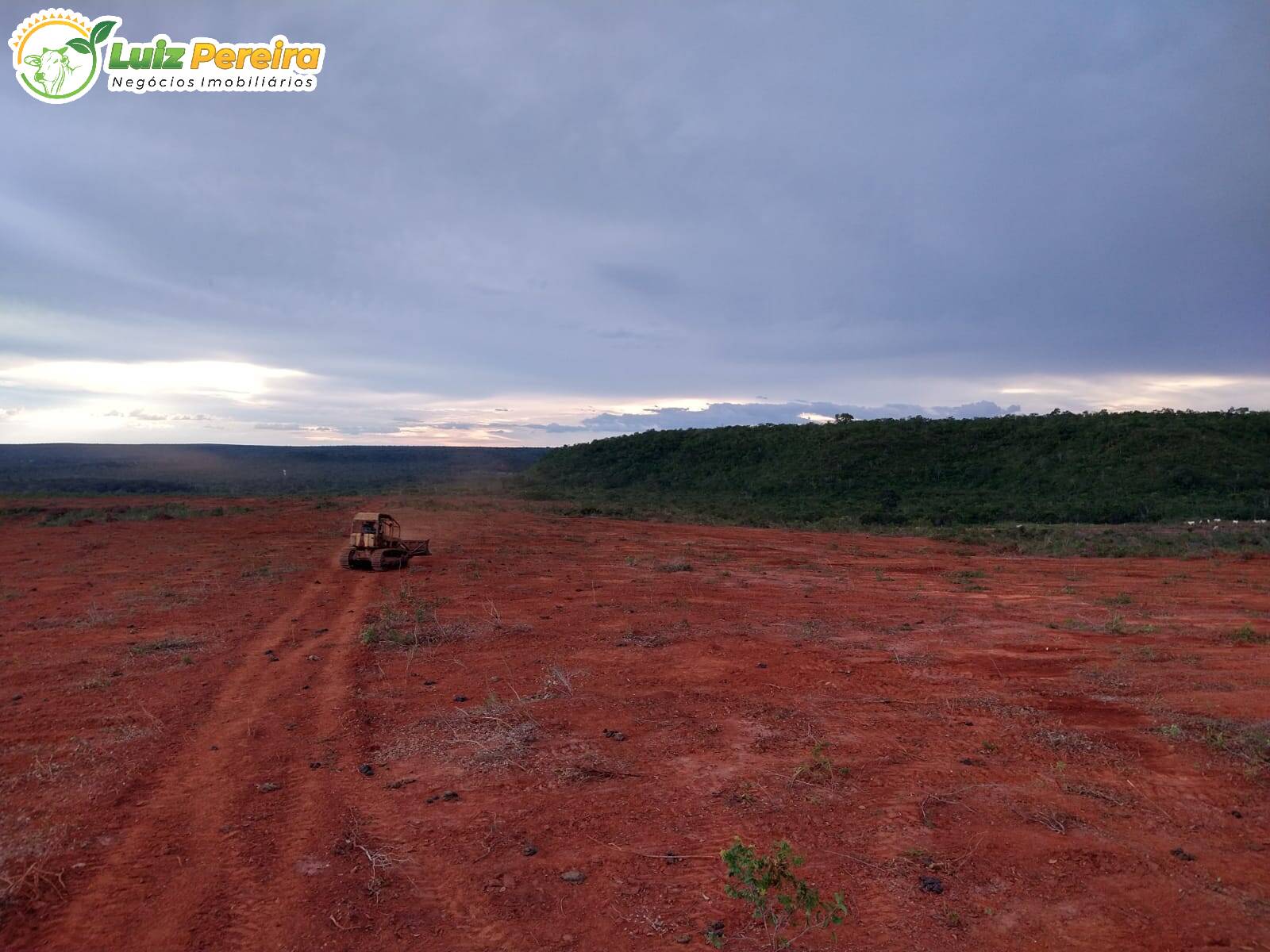 Fazenda à venda, 157000000m² - Foto 8