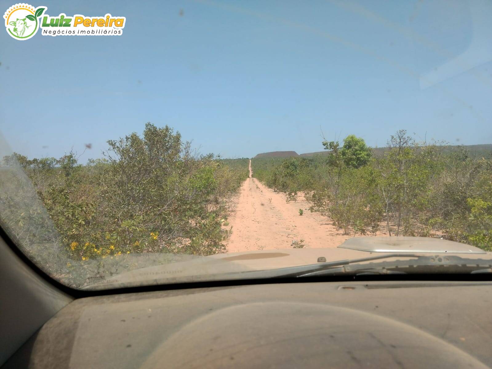 Fazenda à venda, 157000000m² - Foto 9