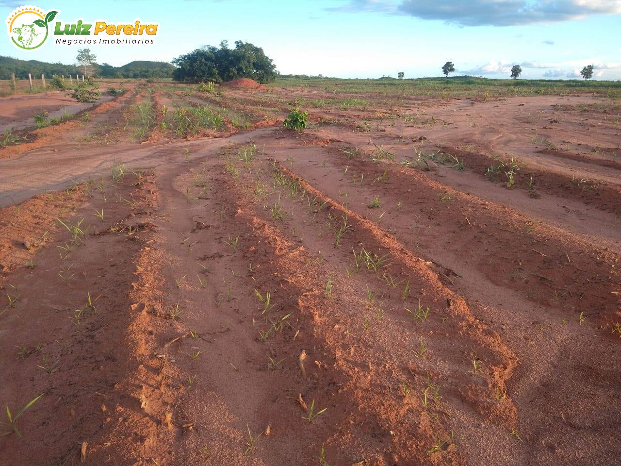 Fazenda à venda, 157000000m² - Foto 7