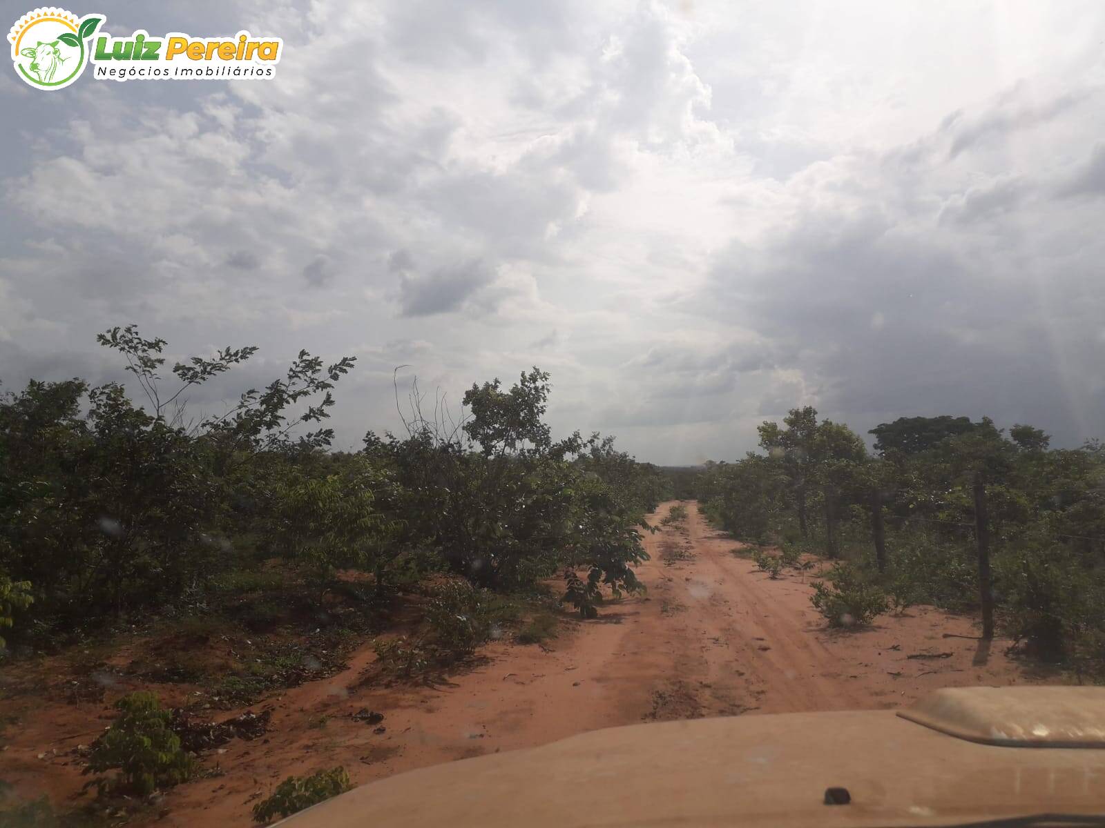 Fazenda à venda, 157000000m² - Foto 11