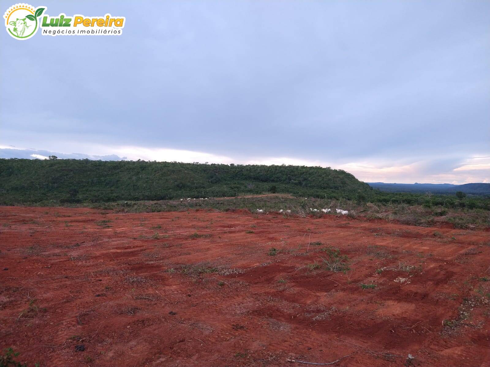 Fazenda à venda, 157000000m² - Foto 14