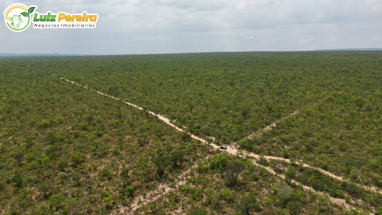 Fazenda à venda, 157000000m² - Foto 17