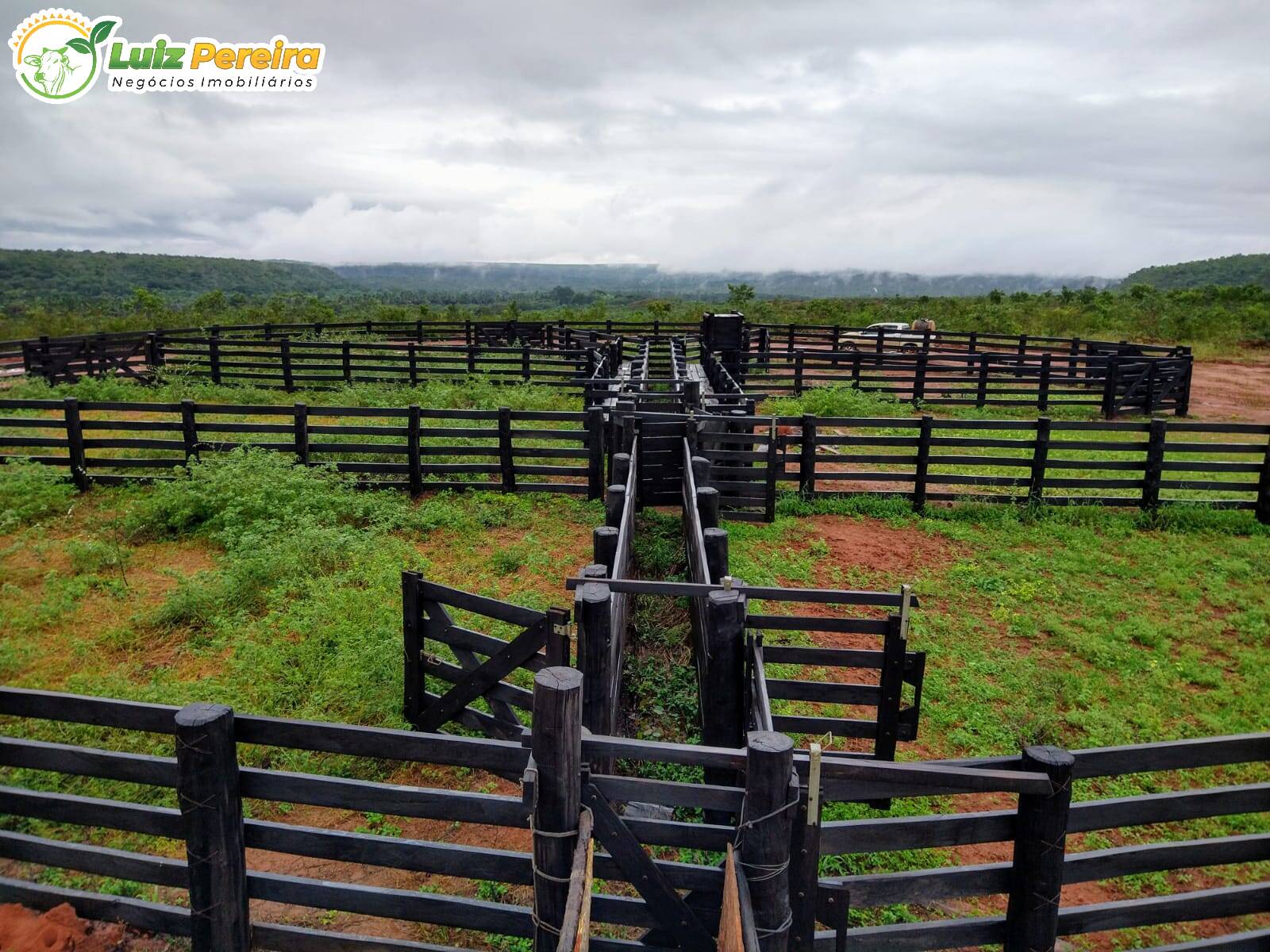 Fazenda à venda, 157000000m² - Foto 16