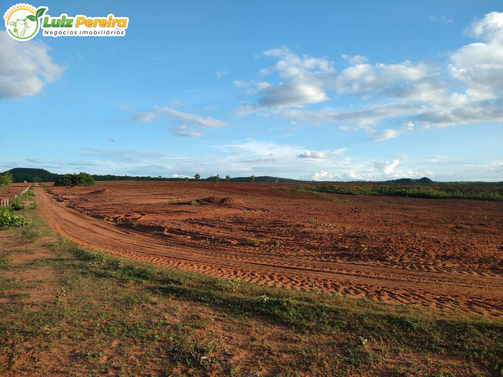 Fazenda à venda, 157000000m² - Foto 18