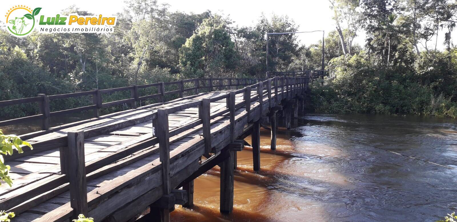 Fazenda à venda, 157000000m² - Foto 21