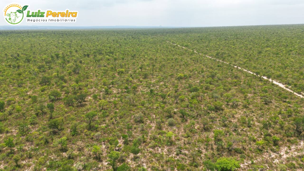 Fazenda à venda, 157000000m² - Foto 20