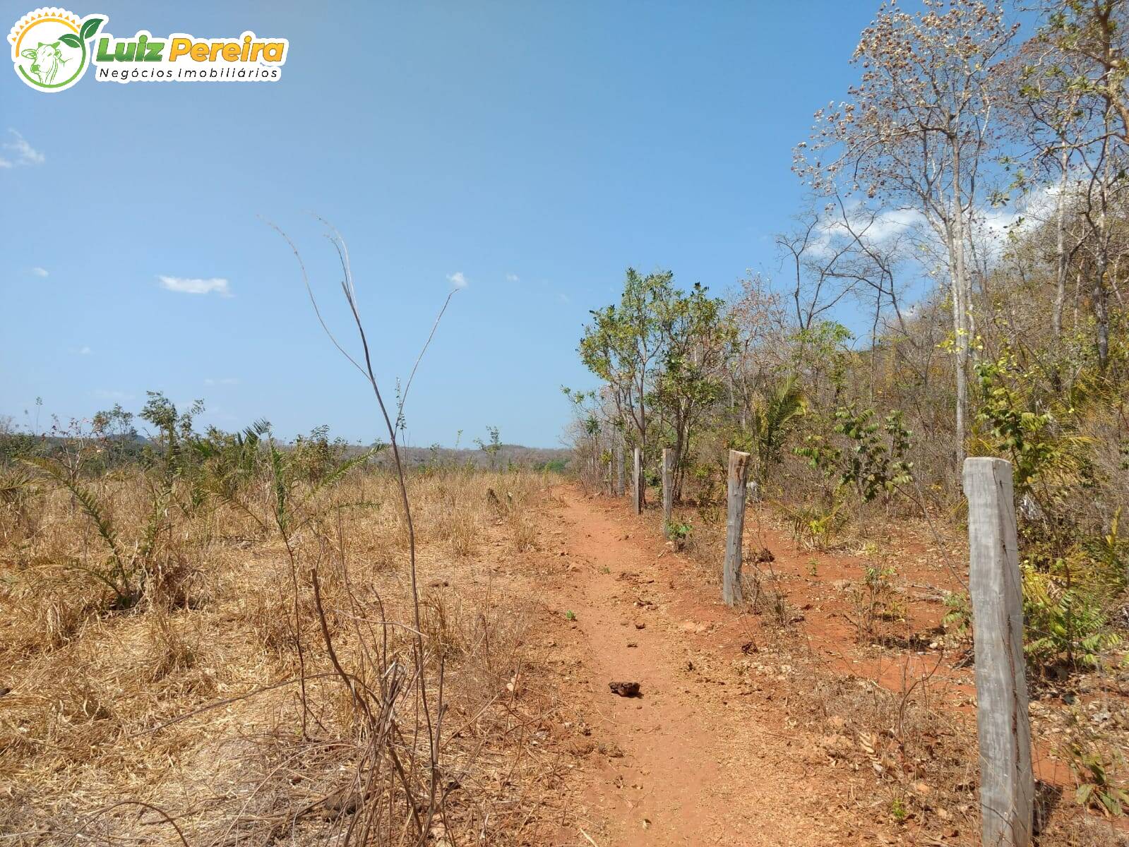 Fazenda à venda, 157000000m² - Foto 22