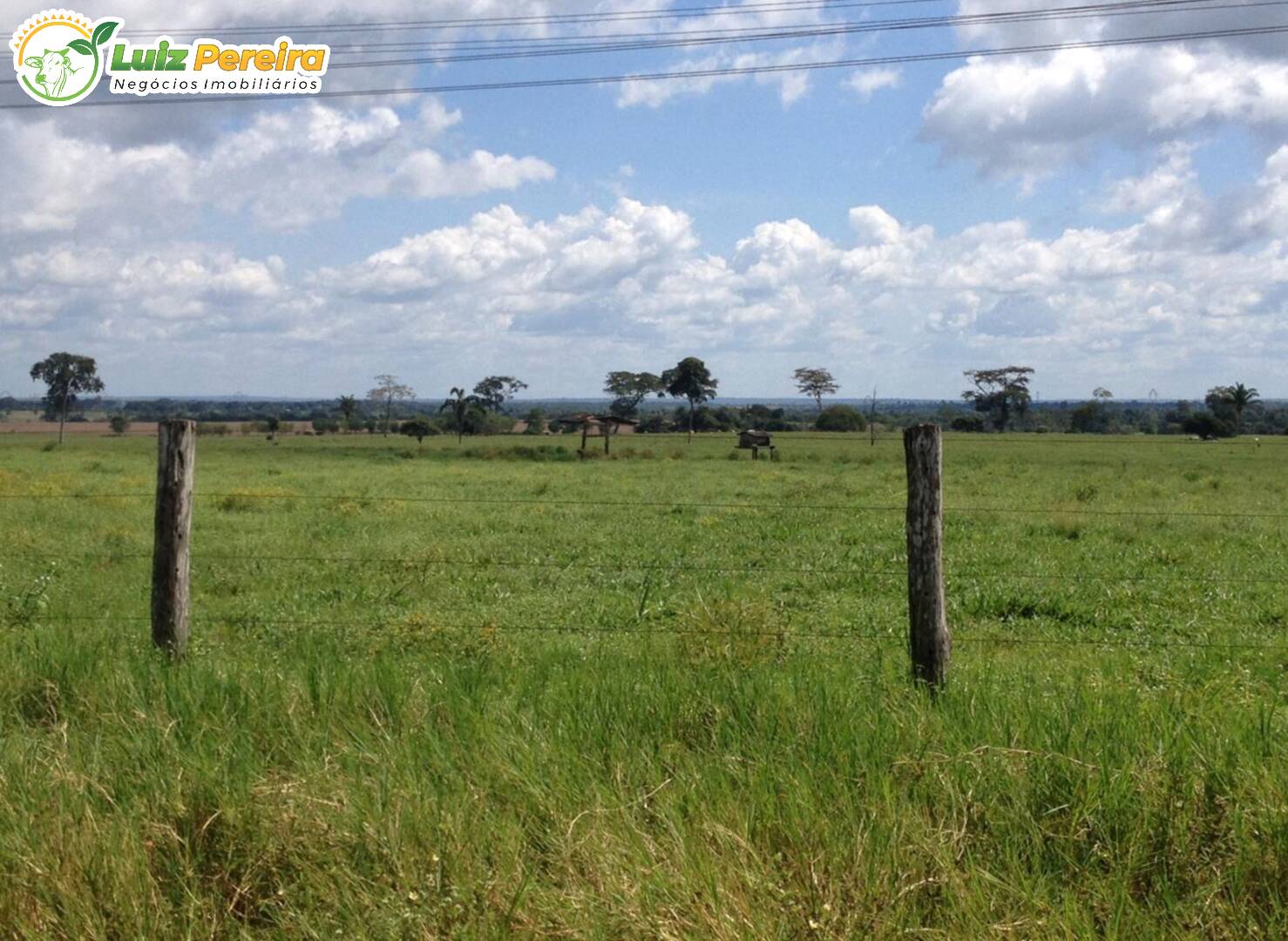 Fazenda à venda, 2251m² - Foto 8