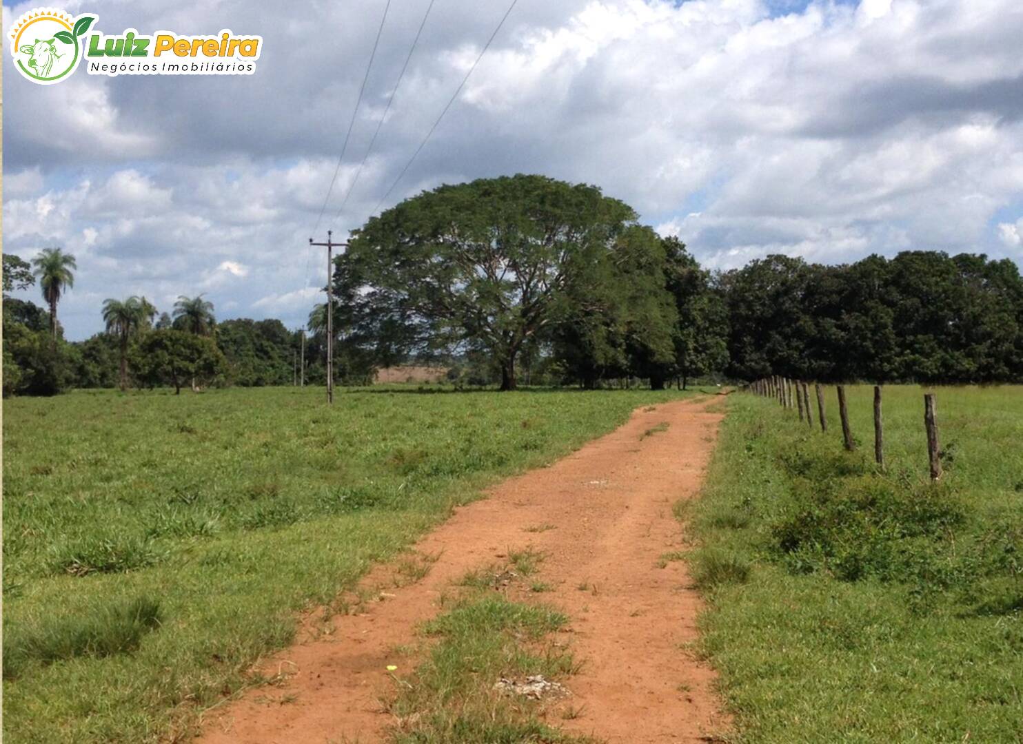 Fazenda à venda, 2251m² - Foto 22