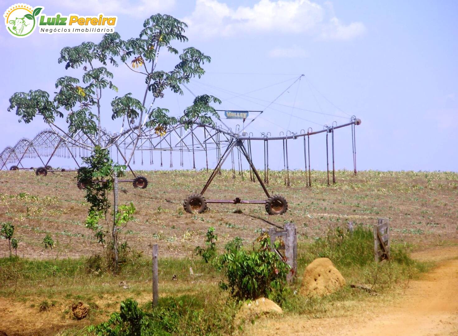 Fazenda à venda, 2251m² - Foto 25