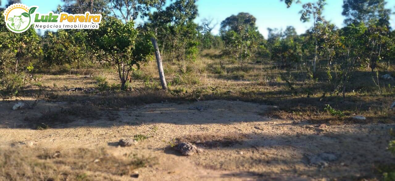 Fazenda à venda, 1630m² - Foto 11