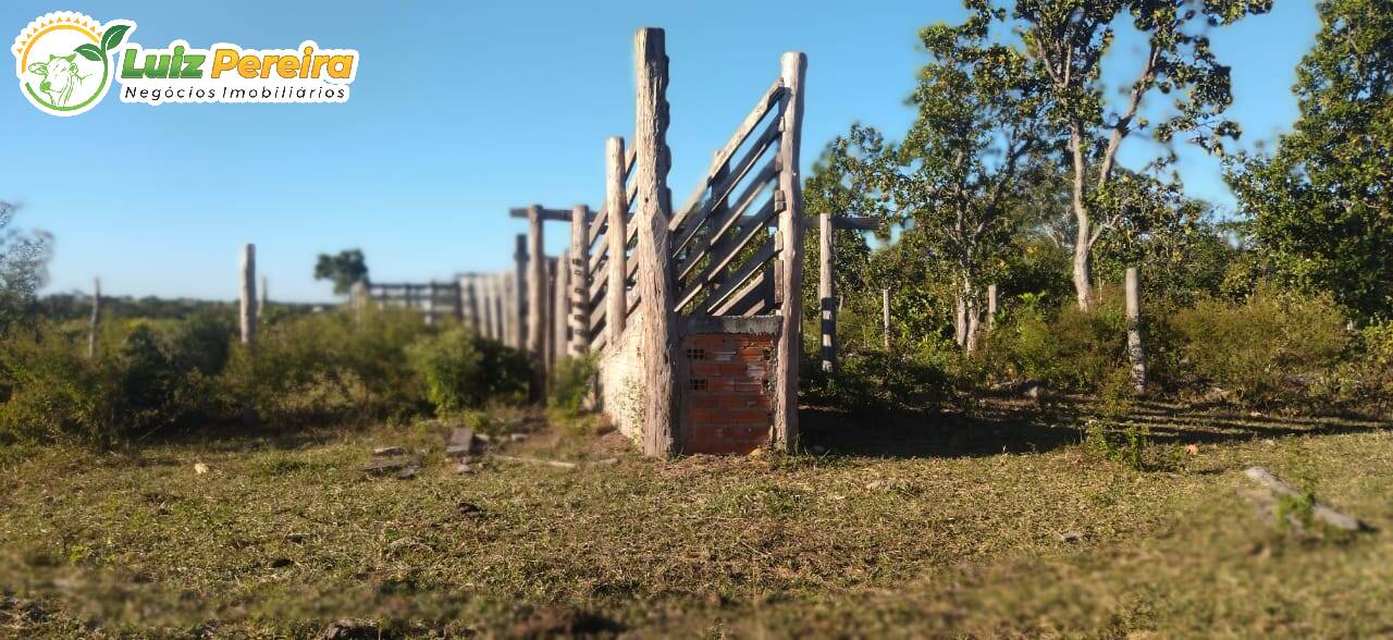 Fazenda à venda, 1630m² - Foto 13