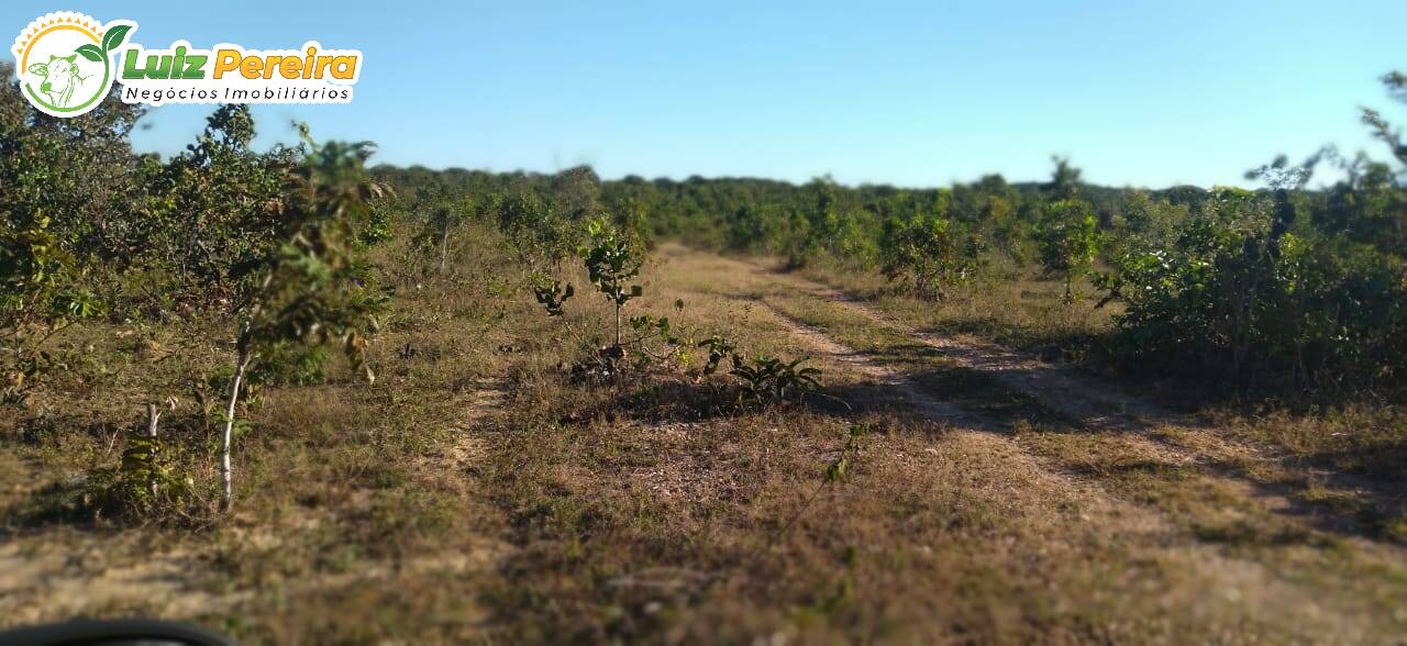 Fazenda à venda, 1630m² - Foto 8