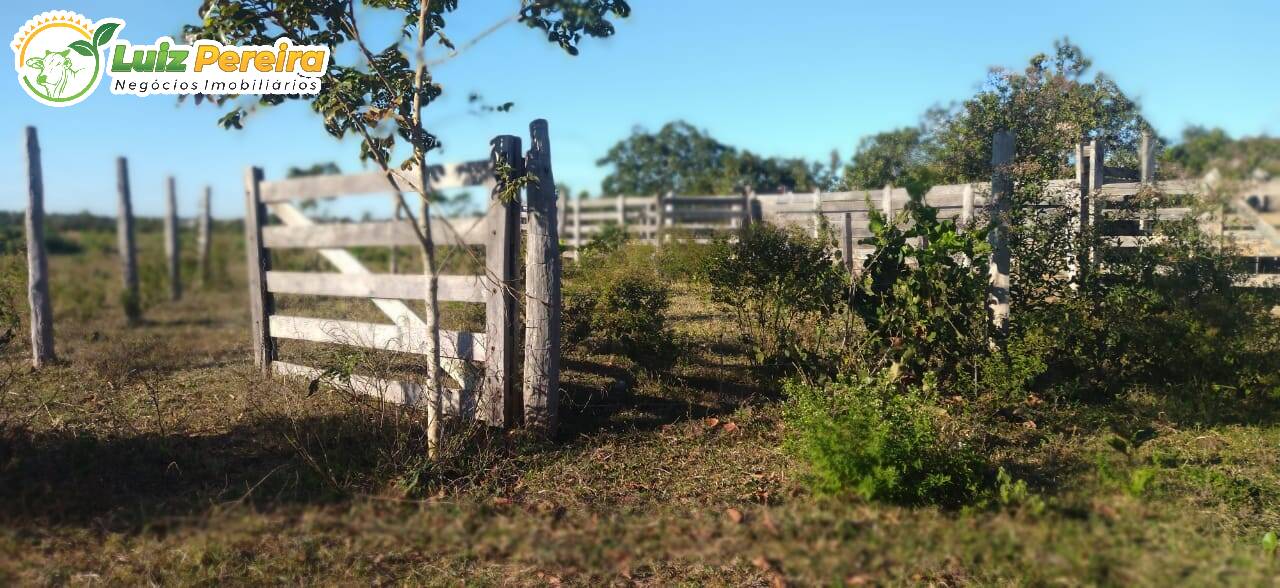 Fazenda à venda, 1630m² - Foto 14