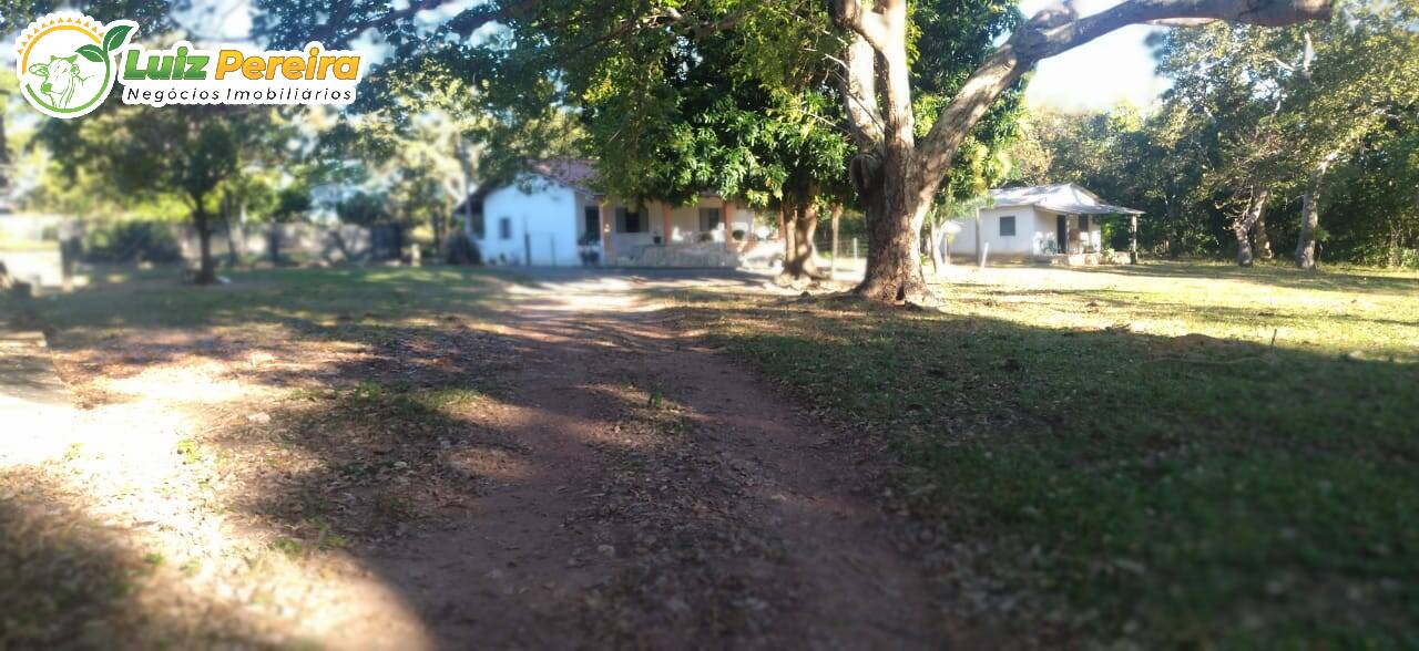 Fazenda à venda, 1630m² - Foto 12