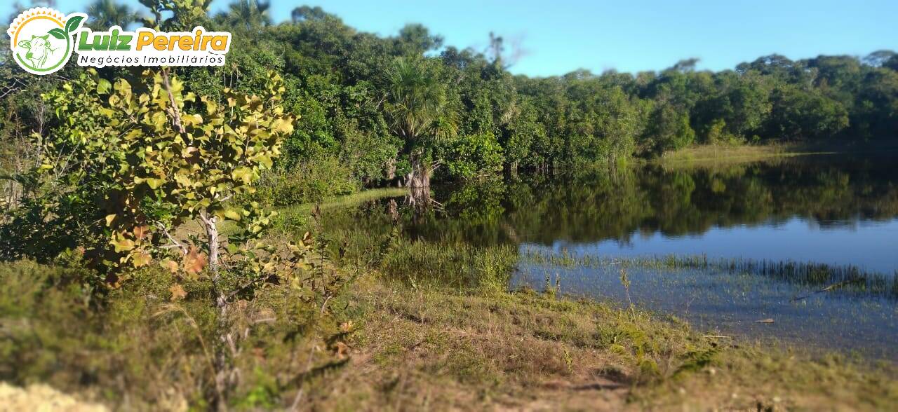 Fazenda à venda, 1630m² - Foto 6