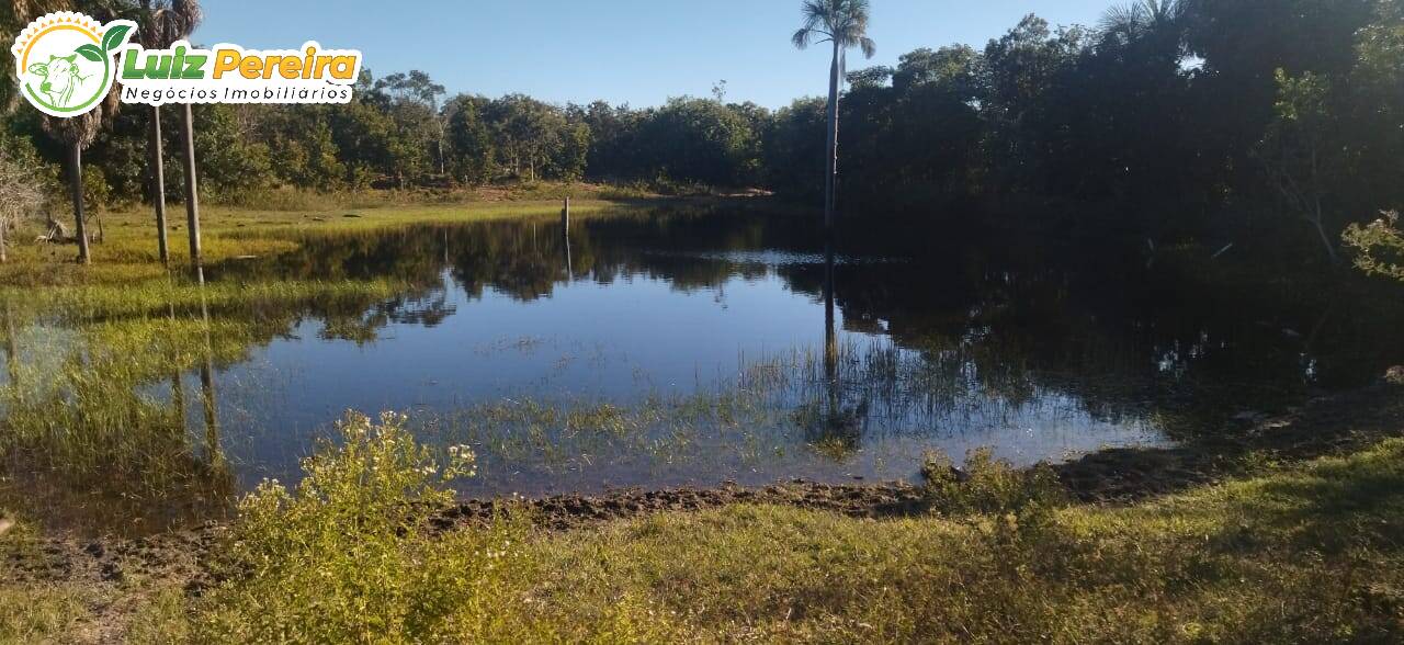 Fazenda à venda, 1630m² - Foto 5