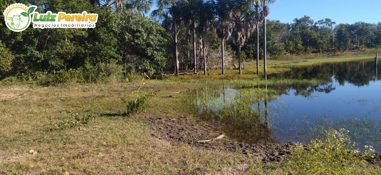 Fazenda à venda, 1630m² - Foto 7