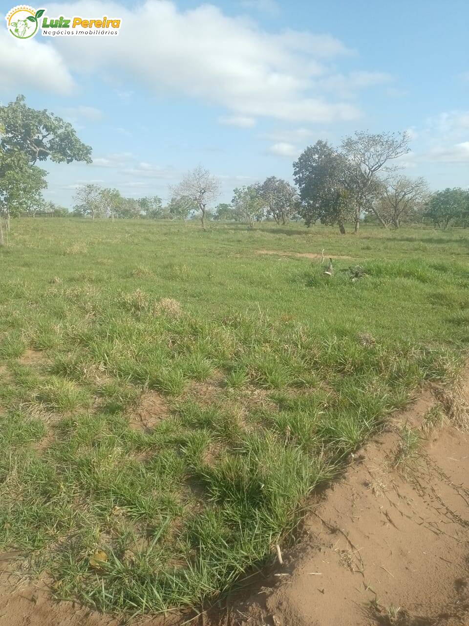 Fazenda à venda, 720m² - Foto 2