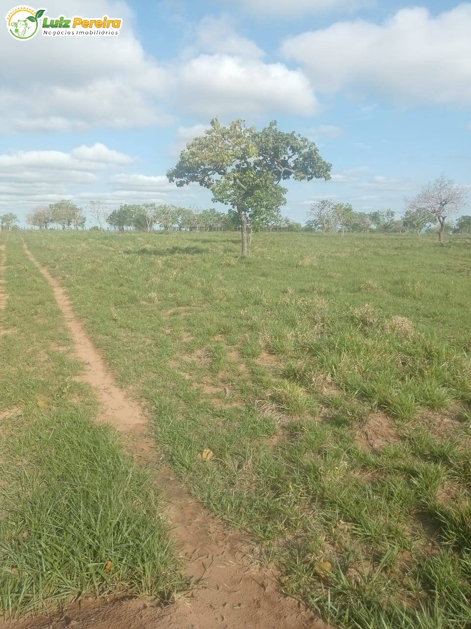 Fazenda à venda, 720m² - Foto 5