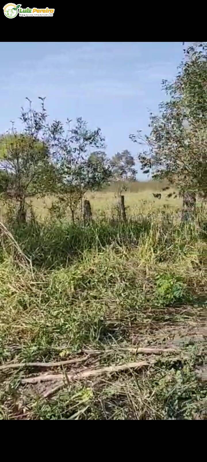 Fazenda à venda, 46230000m² - Foto 14