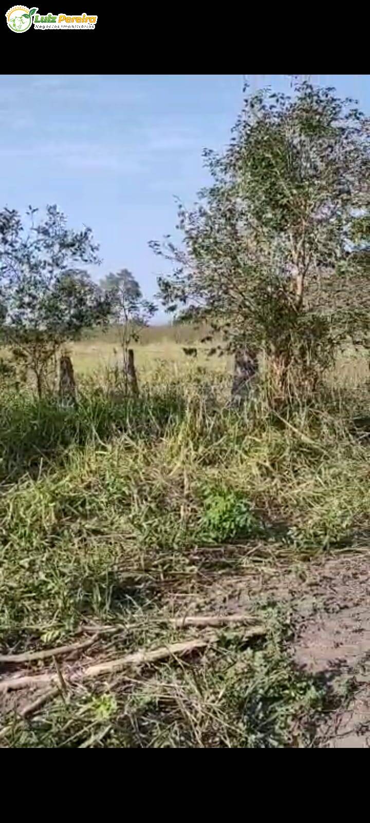 Fazenda à venda, 46230000m² - Foto 16