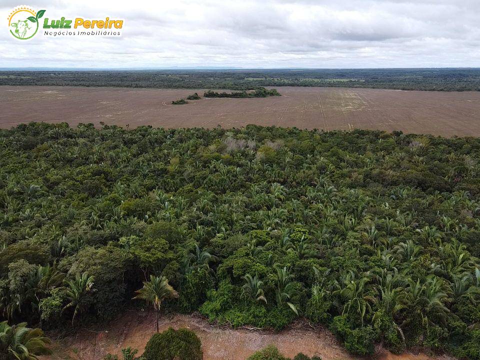 Fazenda à venda, 788m² - Foto 6