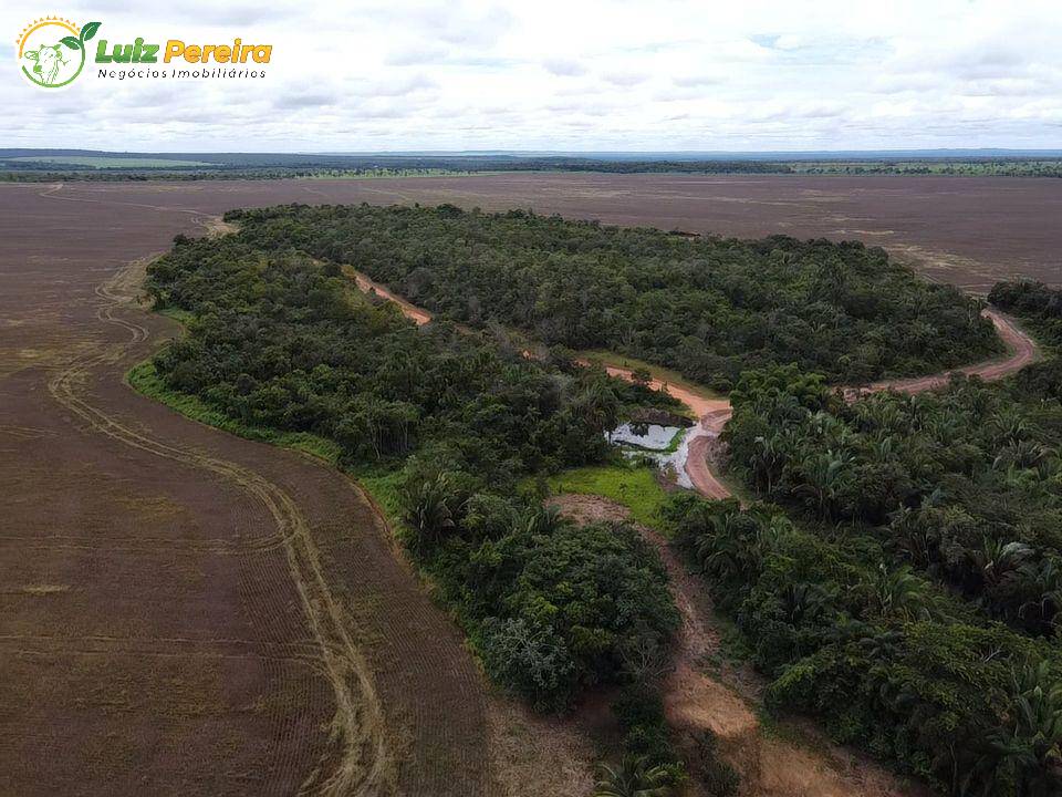 Fazenda à venda, 788m² - Foto 8