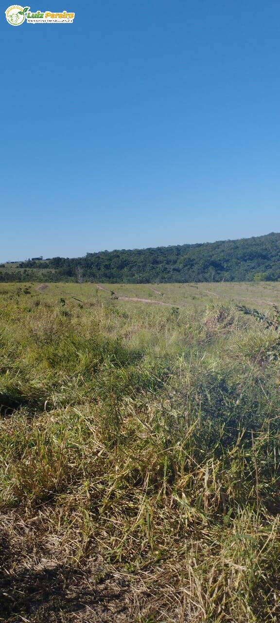 Fazenda à venda, 184m² - Foto 7