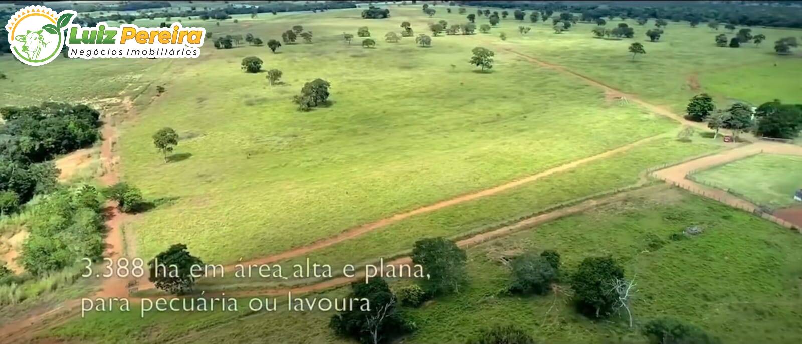 Fazenda-Sítio-Chácara, 1 hectares - Foto 4