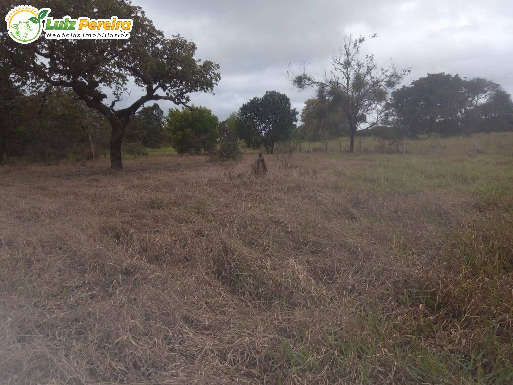 Fazenda à venda, 500m² - Foto 9