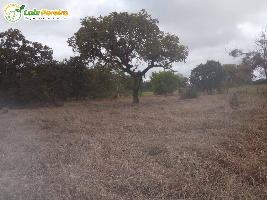 Fazenda à venda, 500m² - Foto 10